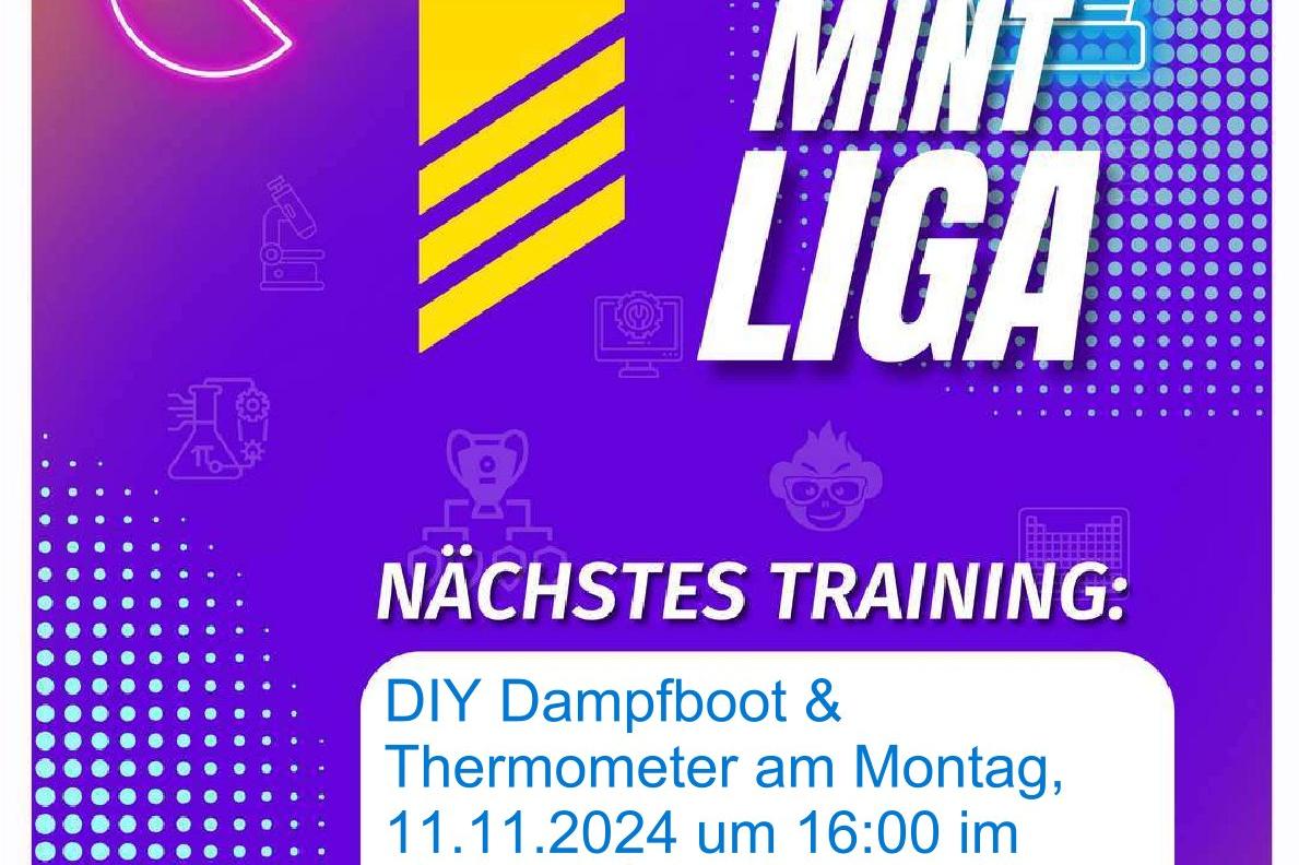 Foto (©MINT Liga): Flyer zur MINT-Liga